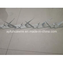 Safety Wall Spike for Sale (factory)